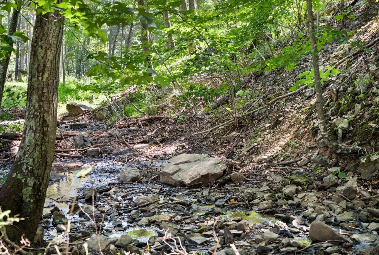 River Access W Hot Tub, Grill, Wifi, & Fire Pit! Lost City Eksteriør billede